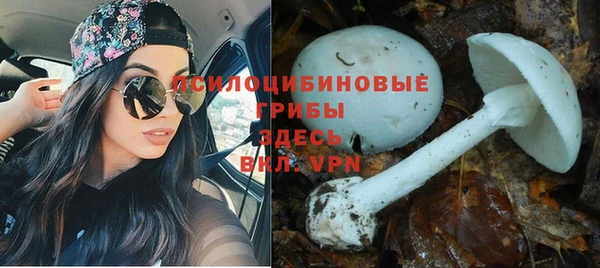 эйфоретик Балабаново