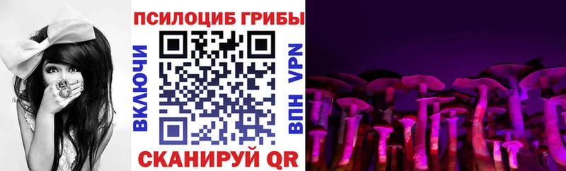 Галлюциногенные грибы Psilocybe Печора