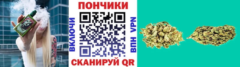 Бошки Шишки конопля  закладки  Печора 